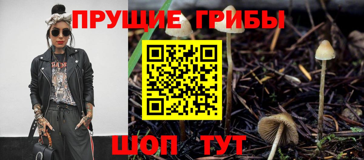 Галлюциногенные грибы Magic Shrooms Павловский Посад